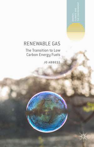 Renewable Gas: The Transition to Low Carbon Energy Fuels de Jo Abbess