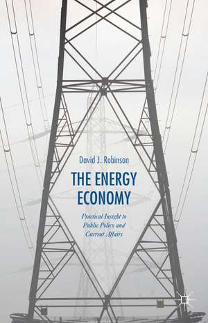 The Energy Economy: Practical Insight to Public Policy and Current Affairs de David J. Robinson