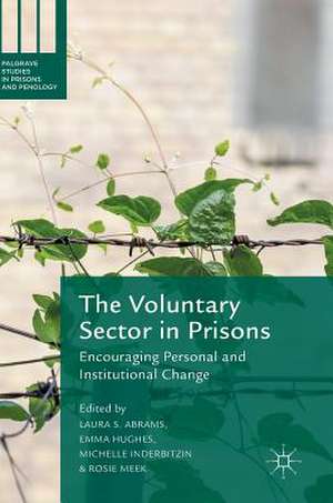 The Voluntary Sector in Prisons: Encouraging Personal and Institutional Change de Laura S. Abrams