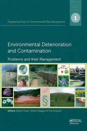 Engineering Tools for Environmental Risk Management: 1. Environmental Deterioration and Contamination - Problems and their Management de Katalin Gruiz