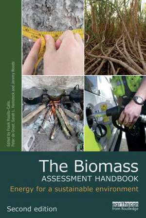 The Biomass Assessment Handbook: Energy for a sustainable environment de Frank Rosillo-Calle