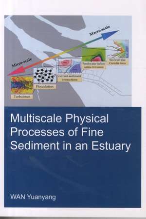 Multiscale Physical Processes of Fine Sediment in an Estuary de Yuanyang Wan