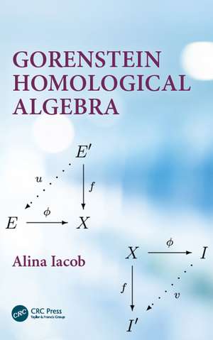 Gorenstein Homological Algebra de Alina Iacob