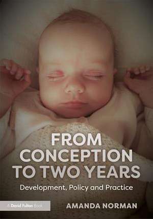 From Conception to Two Years: Development, Policy and Practice de Amanda Norman