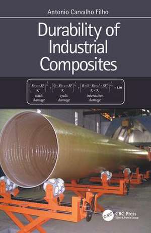 Durability of Industrial Composites de Antonio Filho