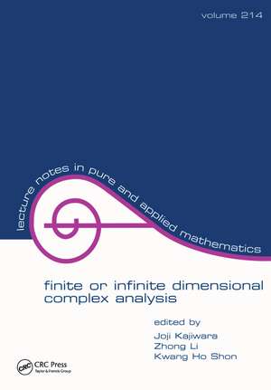 Finite or Infinite Dimensional Complex Analysis de Joji Kajiwara