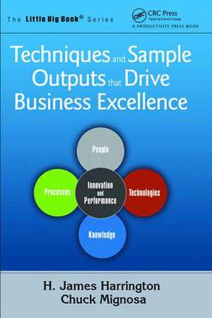 Techniques and Sample Outputs that Drive Business Excellence de H. James Harrington