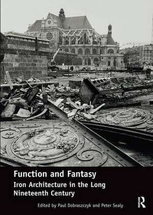 Function and Fantasy: Iron Architecture in the Long Nineteenth Century de Paul Dobraszczyk