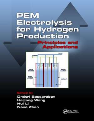 PEM Electrolysis for Hydrogen Production: Principles and Applications de Dmitri Bessarabov