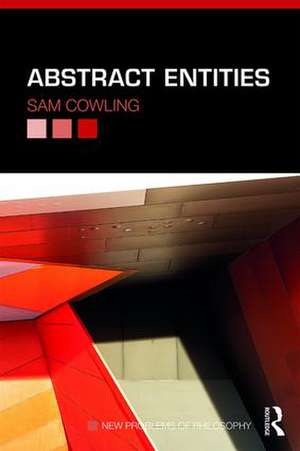 Abstract Entities de Sam Cowling