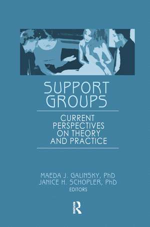 Support Groups: Current Perspectives on Theory and Practice de Janice H Schopler