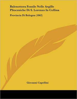 Balenottera Fossile Nelle Argille Plioceniche Di S. Lorenzo In Collina de Giovanni Capellini