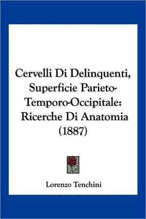 Cervelli Di Delinquenti, Superficie Parieto-Temporo-Occipitale de Lorenzo Tenchini