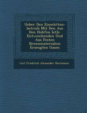 Ueber Den Eisenh Tten-Betrieb Mit Den Aus Den Hoh Fen [Et]c. Entweichenden Und Aus Festen Brennmaterialien Erzeugten Gasen de Carl Friedrich Alexander Hartmann