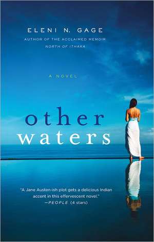 Other Waters de Eleni N. Gage