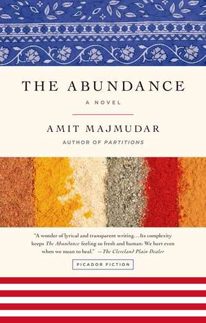 The Abundance de Amit Majmudar