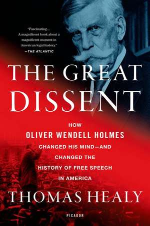 Great Dissent de Thomas Healy