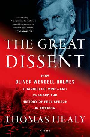 The Great Dissent: How Oliver Wendell Holmes Changed His Mind--And Changed the History of Free Speech in America de Thomas Healy