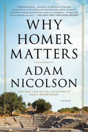 Why Homer Matters de Adam Nicolson