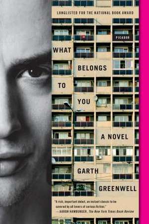 What Belongs to You de Garth Greenwell