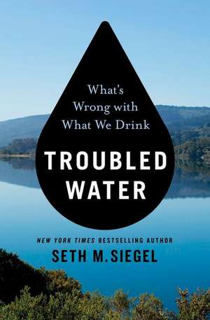 Troubled Water de Seth M Siegel