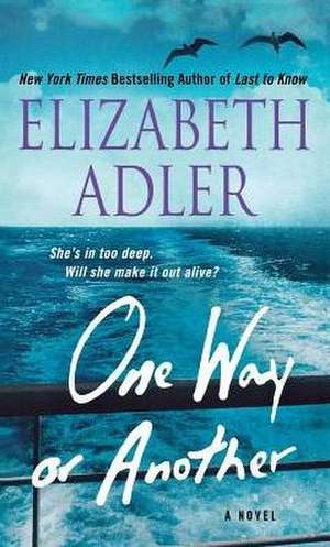 One Way or Another de Elizabeth Adler