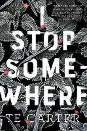 I Stop Somewhere de Te Carter