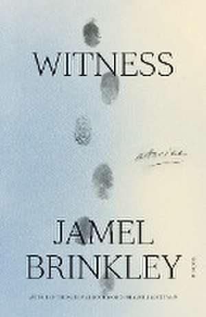 Witness de Jamel Brinkley