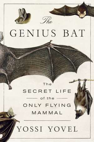The Genius Bat de Yossi Yovel