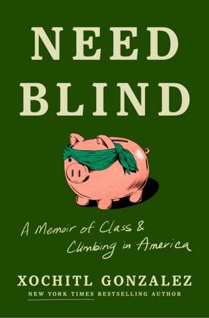 Need Blind de Xochitl Gonzalez