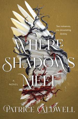 Where Shadows Meet de Patrice Caldwell