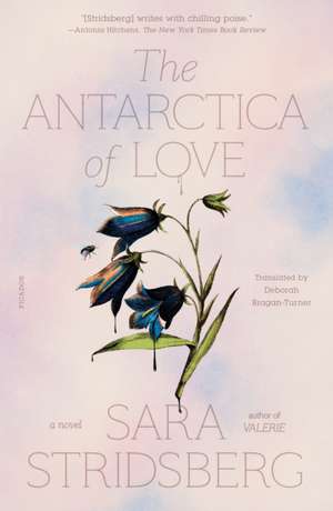 Antarctica of Love de Sara Stridsberg