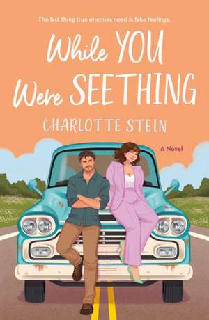 While You Were Seething de Charlotte Stein