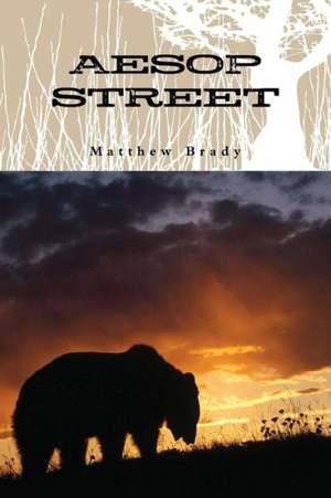 Aesop Street de Matthew Brady