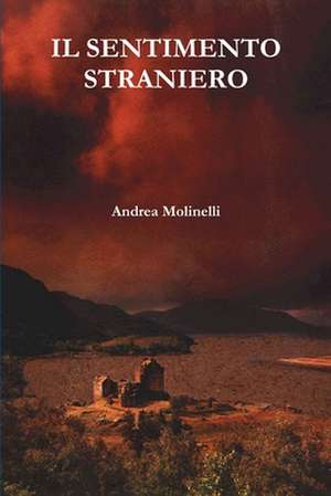 Il Sentimento Straniero de Andrea Molinelli