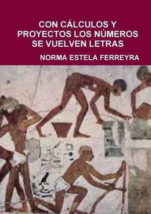 Con Calculos y Proyectos Los Numeros Se Vuelven Letras de Norma Estela Ferreyra