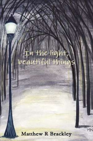 In the Light, Beautiful Things de Matthew R. Brackley