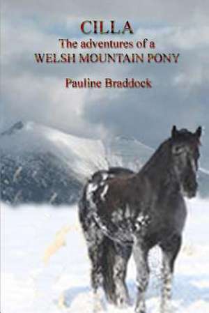 Cilla the Adventures of a Welsh Mountain Pony de Pauline Braddock