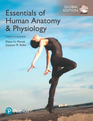 Essentials of Human Anatomy & Physiology plus Pearson Modified Mastering Anatomy & Physiology with Pearson eText, Global Edition de Elaine N. Marieb