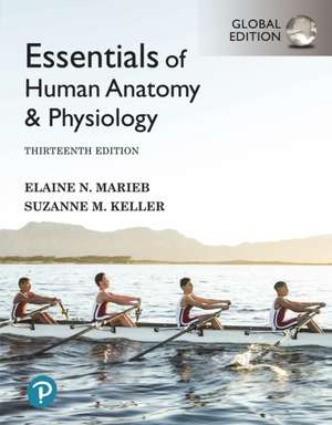 Essentials of Human Anatomy & Physiology, Global Edition de Elaine Marieb