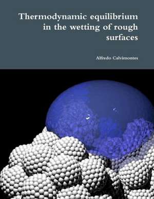 Thermodynamic Equilibrium in the Wetting of Rough Surfaces de Alfredo Calvimontes