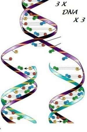 3 X DNA X 3 de Janette Buchanan