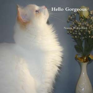 Hello Gorgeous de Naomi R. Heckler