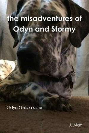 The Misadventures of Odyn and Stormy de J. Alan