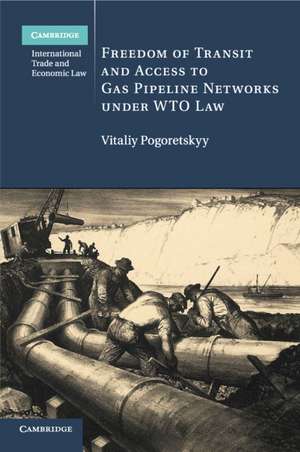 Freedom of Transit and Access to Gas Pipeline Networks under WTO Law de Vitaliy Pogoretskyy