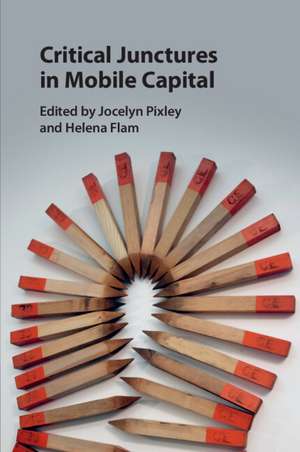 Critical Junctures in Mobile Capital de Jocelyn Pixley