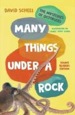 Many Things Under a Rock Young Readers Edition – The Mysteries of Octopuses de David Scheel