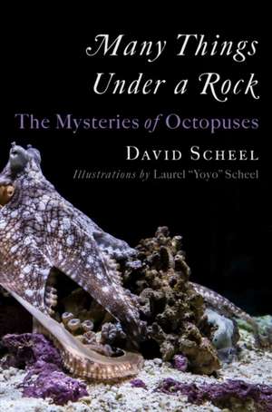 Many Things Under a Rock – The Mysteries of Octopuses de David Scheel