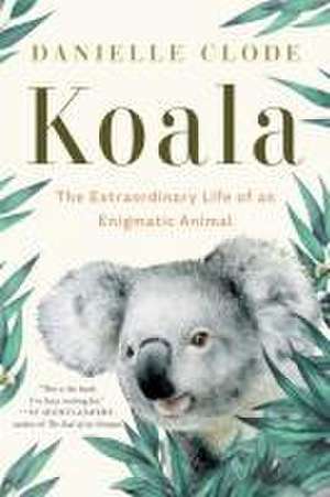 Koala – The Extraordinary Life of an Enigmatic Animal de Danielle Clode