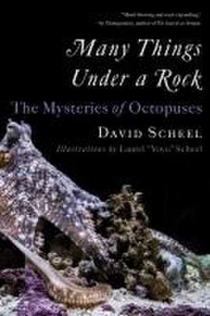 Many Things Under a Rock – The Mysteries of Octopuses de David Scheel